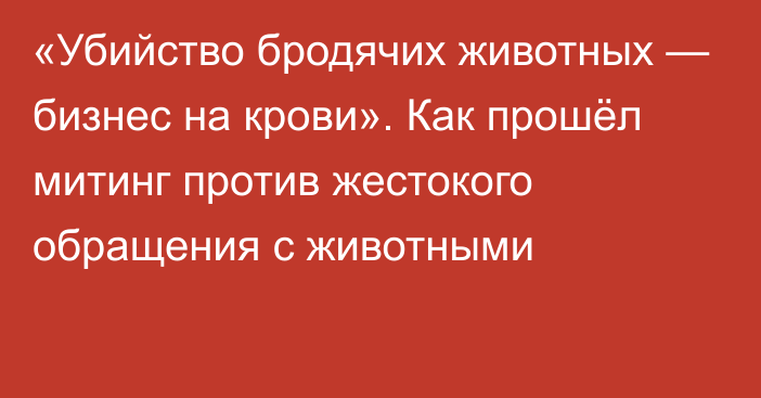 «Убийство бродячих животных — бизнес на крови». Как прошёл митинг против жестокого обращения с животными