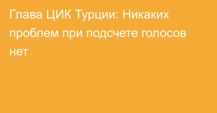 Глава ЦИК Турции: Никаких проблем при подсчете голосов нет