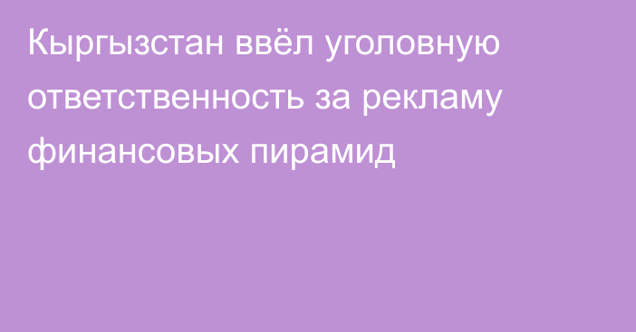 Кыргызстан ввёл уголовную ответственность за рекламу финансовых пирамид