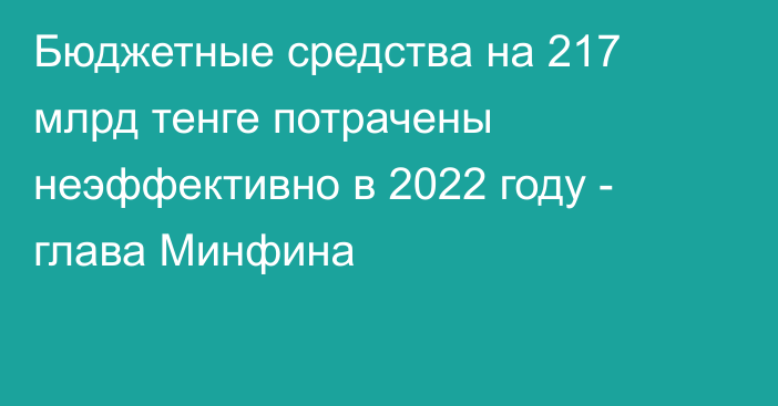 Бюджетные средства на 217 млрд тенге потрачены неэффективно в 2022 году - глава Минфина