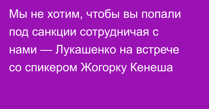 Мы не хотим, чтобы вы попали под санкции сотрудничая с нами — Лукашенко на встрече со спикером Жогорку Кенеша