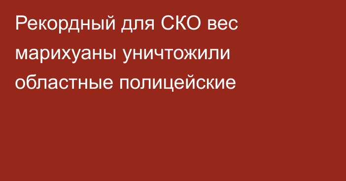 Рекордный для СКО вес марихуаны уничтожили областные полицейские