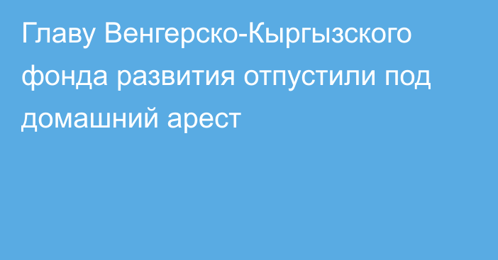 Главу Венгерско-Кыргызского фонда развития отпустили под домашний арест