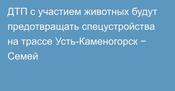 ДТП с участием животных будут предотвращать спецустройства на трассе Усть-Каменогорск − Семей