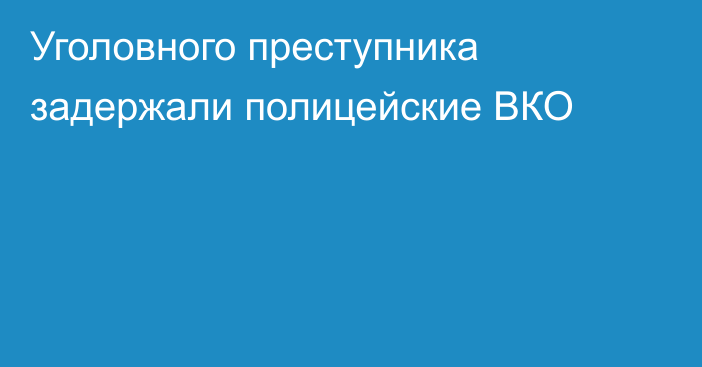 Уголовного преступника задержали полицейские ВКО