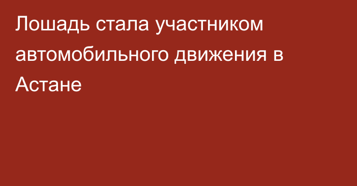 Лошадь стала участником автомобильного движения в Астане