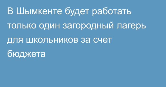 В Шымкенте будет работать только один загородный лагерь для школьников за счет бюджета