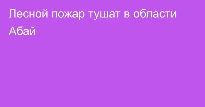 Лесной пожар тушат в области Абай