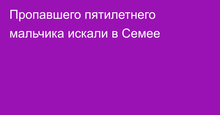 Пропавшего пятилетнего мальчика искали в Семее