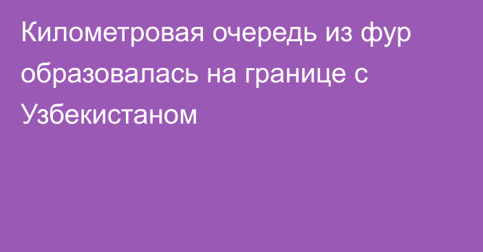 Километровая очередь из фур образовалась на границе с Узбекистаном