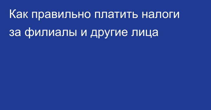 Как правильно платить налоги за филиалы и другие лица