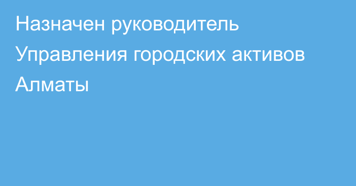 Назначен руководитель Управления городских активов Алматы