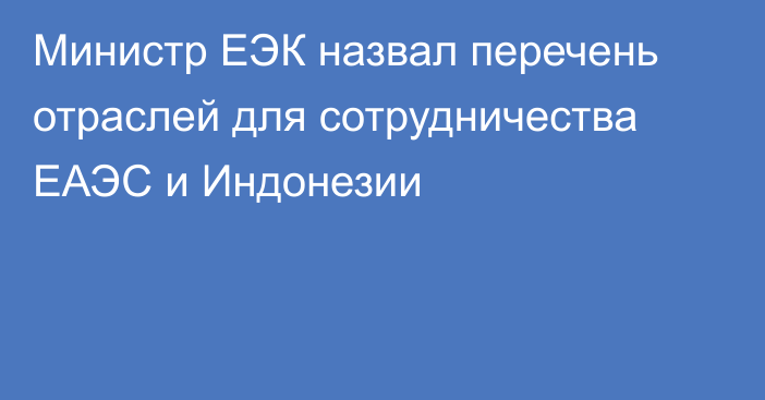 Министр ЕЭК назвал перечень отраслей для сотрудничества ЕАЭС и Индонезии