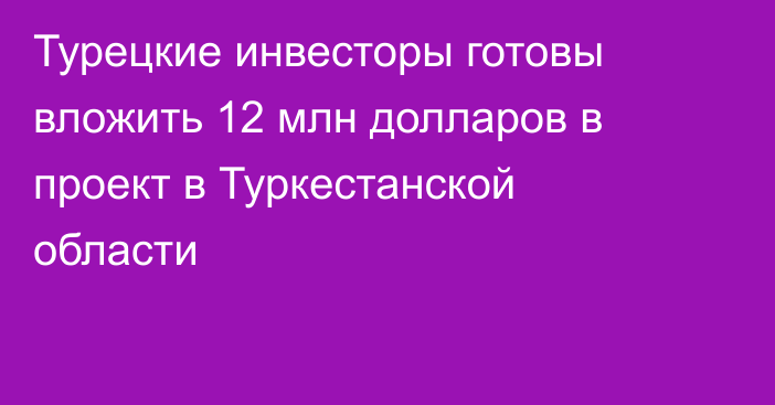 Турецкие инвесторы готовы вложить 12 млн долларов в проект в Туркестанской области