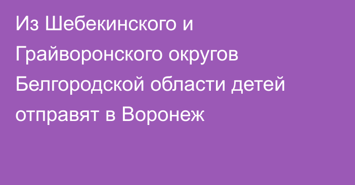 Из Шебекинского и Грайворонского округов Белгородской области детей отправят в Воронеж