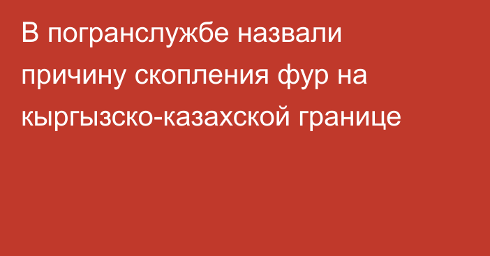 В погранслужбе назвали причину скопления фур на кыргызско-казахской границе