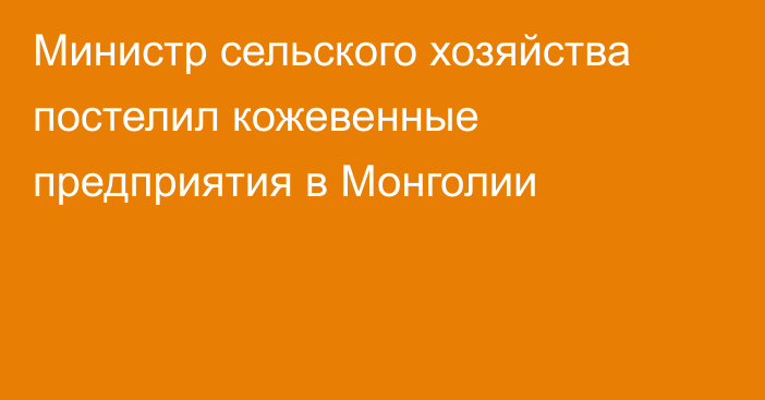 Министр сельского хозяйства постелил кожевенные предприятия в Монголии