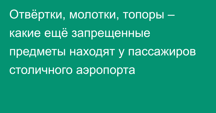 Отвёртки, молотки, топоры – какие ещё запрещенные предметы находят у пассажиров столичного аэропорта