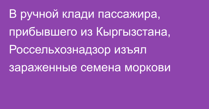 В ручной клади пассажира, прибывшего из Кыргызстана, Россельхознадзор изъял зараженные семена моркови