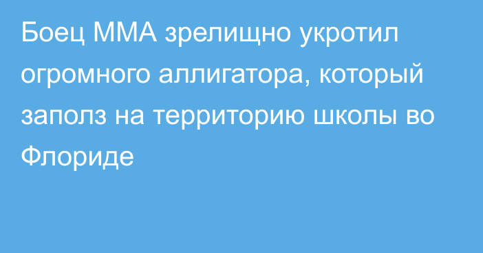 Боец ММА зрелищно укротил огромного аллигатора, который заполз на территорию школы во Флориде