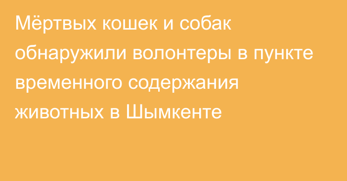 Мёртвых кошек и собак обнаружили волонтеры в пункте временного содержания животных в Шымкенте