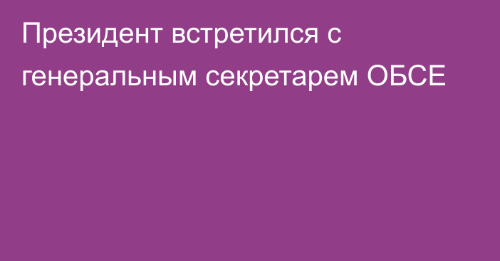 Президент встретился с генеральным секретарем ОБСЕ