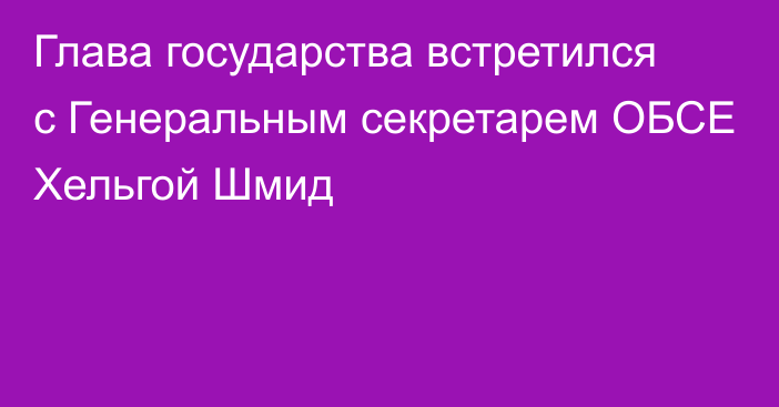 Глава государства встретился с Генеральным секретарем ОБСЕ Хельгой Шмид