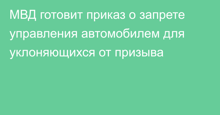 МВД готовит приказ о запрете управления автомобилем для уклоняющихся от призыва