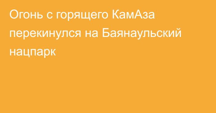 Огонь с горящего КамАза перекинулся на Баянаульский нацпарк