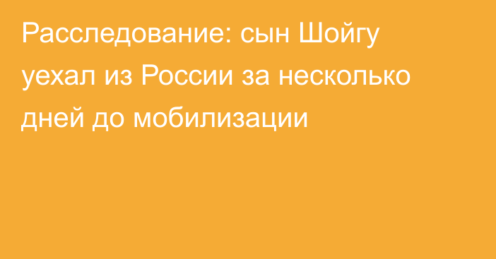 Расследование: сын Шойгу уехал из России за несколько дней до мобилизации