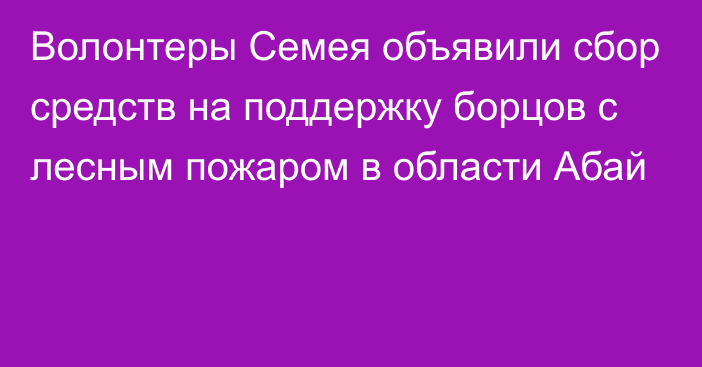 Волонтеры Семея объявили сбор средств на поддержку борцов с лесным пожаром в области Абай