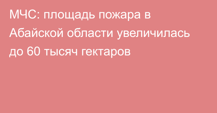 МЧС: площадь пожара в Абайской области увеличилась до 60 тысяч гектаров