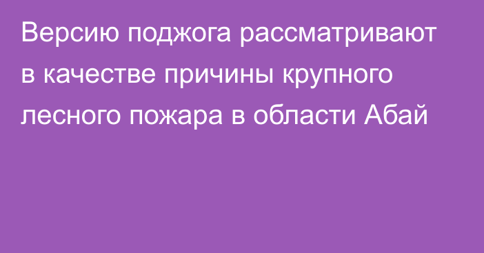 Версию поджога рассматривают в качестве причины крупного лесного пожара в области Абай