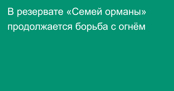 В резервате «Семей орманы» продолжается борьба с огнём