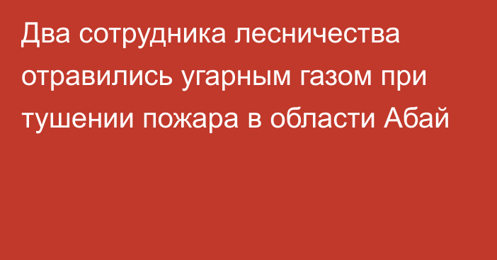 Два сотрудника лесничества отравились угарным газом при тушении пожара в области Абай 