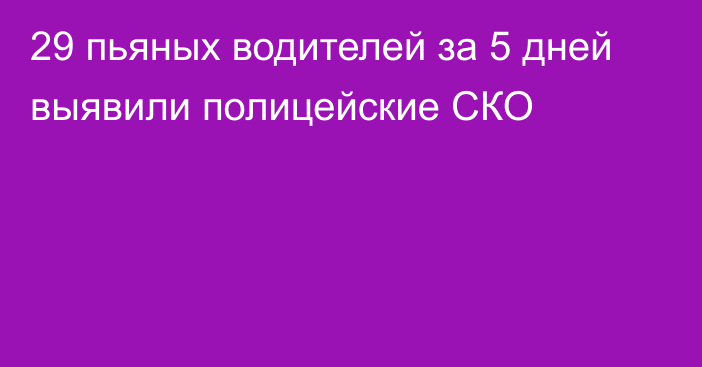 29 пьяных водителей за 5 дней выявили полицейские СКО