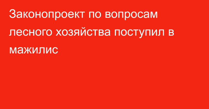 Законопроект по вопросам лесного хозяйства поступил в мажилис