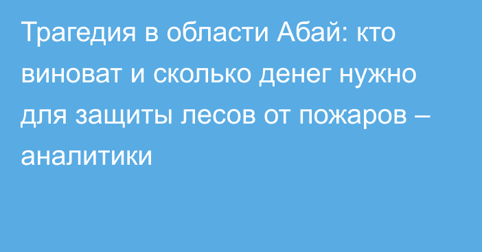 Трагедия в области Абай: кто виноват и сколько денег нужно для защиты лесов от пожаров – аналитики