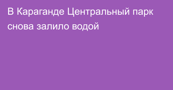 В Караганде Центральный парк снова залило водой