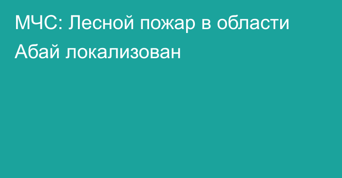 МЧС: Лесной пожар в области Абай локализован