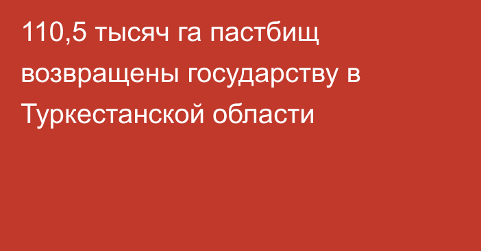 110,5 тысяч га пастбищ возвращены государству в Туркестанской области