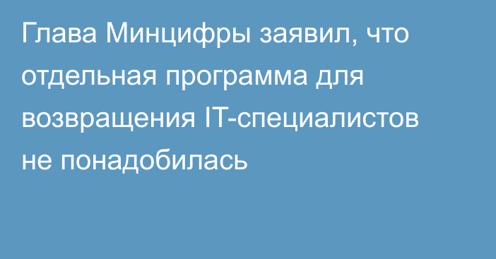 Глава Минцифры заявил, что отдельная программа для возвращения IT-специалистов не понадобилась