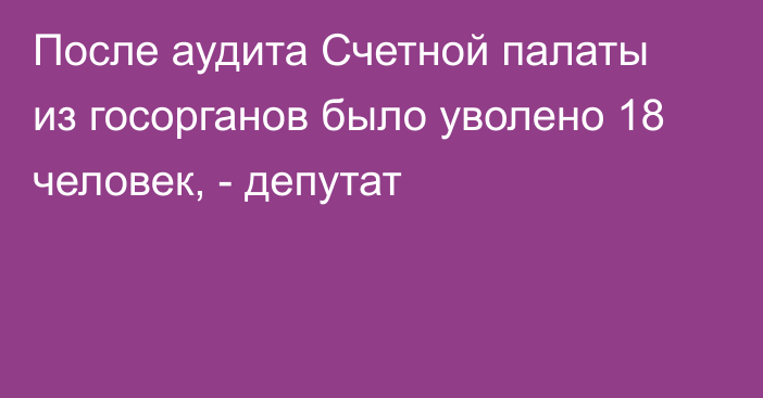 После аудита Счетной палаты из госорганов было уволено 18 человек, - депутат