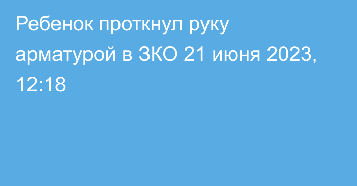 Ребенок проткнул руку арматурой в ЗКО
                21 июня 2023, 12:18