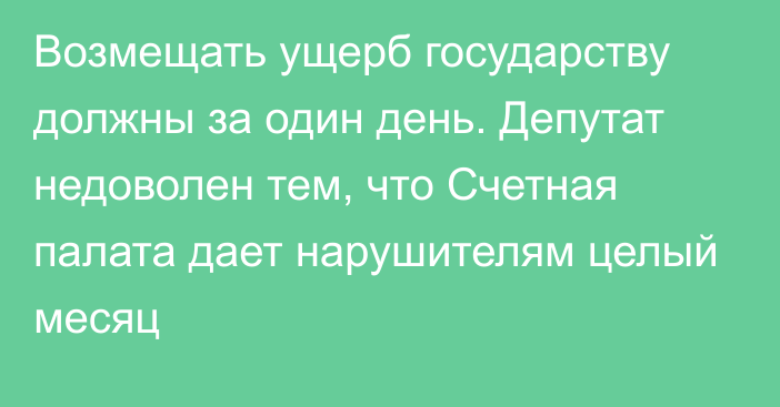 Возмещать ущерб государству должны за один день. Депутат недоволен тем, что Счетная палата дает нарушителям целый месяц