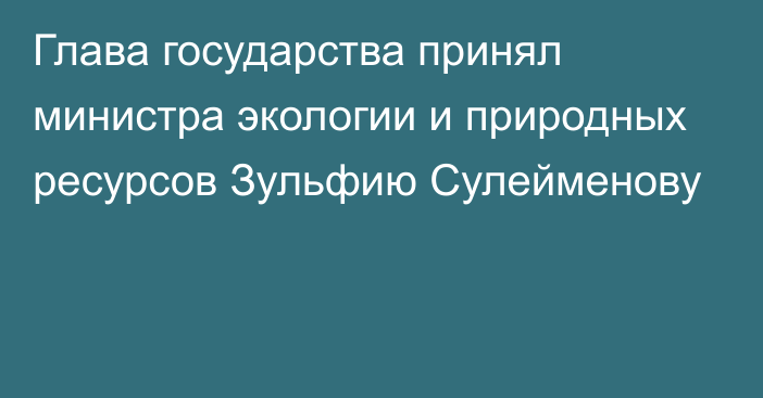 Глава государства принял министра экологии и природных ресурсов Зульфию Сулейменову