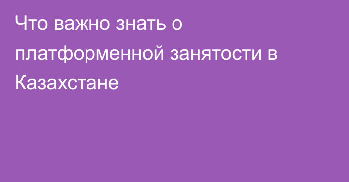 Что важно знать о платформенной занятости в Казахстане