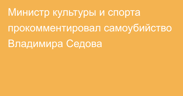 Министр культуры и спорта прокомментировал самоубийство Владимира Седова