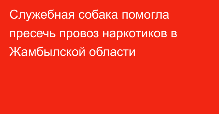 Служебная собака помогла пресечь провоз наркотиков в Жамбылской области