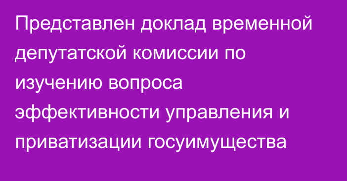 Представлен доклад временной депутатской комиссии по изучению вопроса эффективности управления и приватизации госуимущества